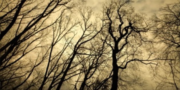 Is Halloween Pagan and Evil?